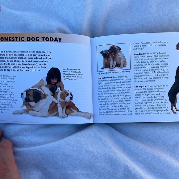 Dogs - Complete Pet Care Book - Picture 7 of 16
